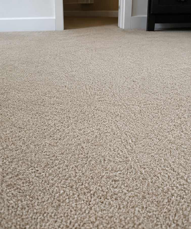 Lewisville Carpet Stain Removal